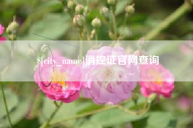 乌海消控证官网查询
