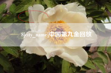 乌海中国第九金回放