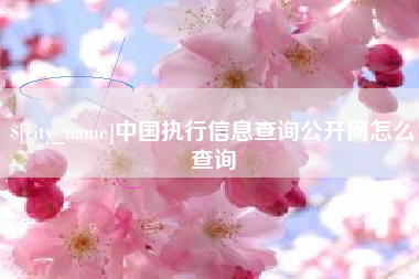 乌海中国执行信息查询公开网怎么查询