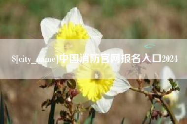 乌海中国消防官网报名入口2024