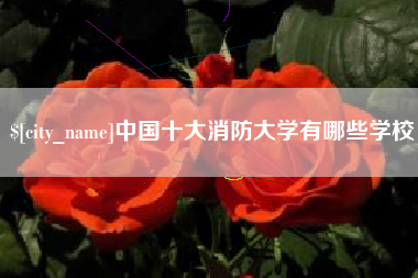 乌海中国十大消防大学有哪些学校
