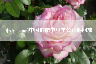 乌海中国消防中小学公开课回放