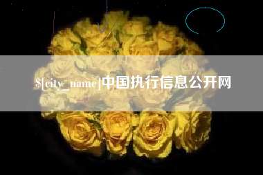 乌海中国执行信息公开网