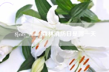 乌海森林消防日是哪一天
