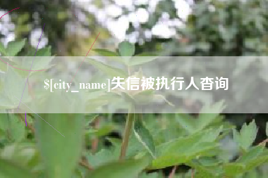 乌海失信被执行人杳询