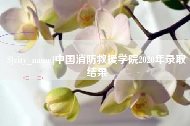 乌海中国消防救援学院2020年录取结果