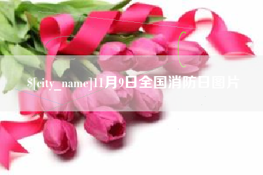 乌海11月9日全国消防日图片