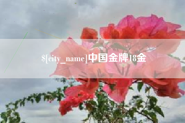 乌海中国金牌18金