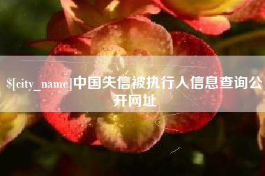 乌海中国失信被执行人信息查询公开网址