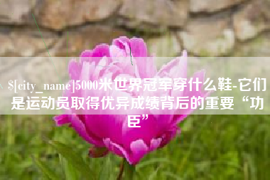 乌海5000米世界冠军穿什么鞋-它们是运动员取得优异成绩背后的重要“功臣”