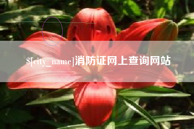 乌海消防证网上查询网站