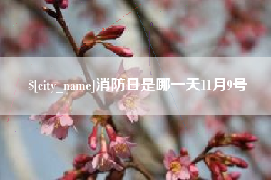 乌海消防日是哪一天11月9号
