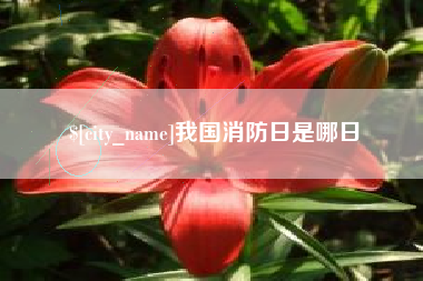 乌海我国消防日是哪日