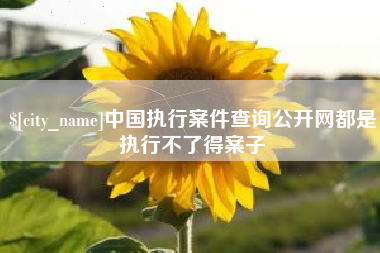 乌海中国执行案件查询公开网都是执行不了得案子