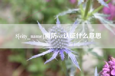 乌海消防ccc认证什么意思