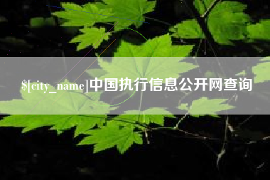 乌海中国执行信息公开网查询