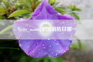 乌海全国消防日哪一