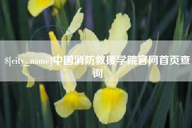 乌海中国消防救援学院官网首页查询