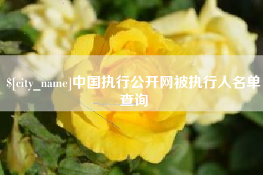 乌海中国执行公开网被执行人名单查询