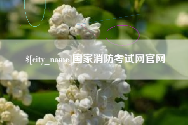 乌海国家消防考试网官网