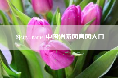 乌海中国消防网官网入口