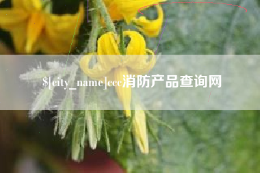 乌海ccc消防产品查询网