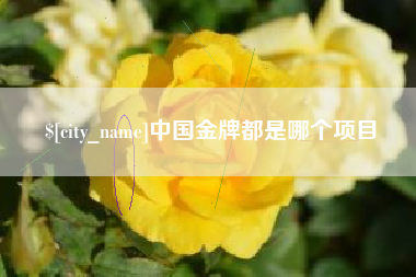 乌海中国金牌都是哪个项目