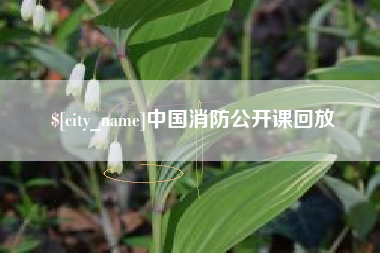 乌海中国消防公开课回放