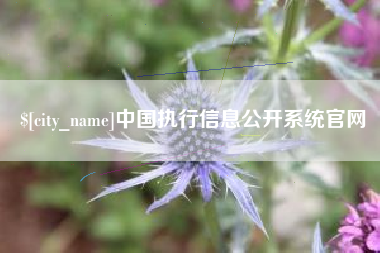 乌海中国执行信息公开系统官网