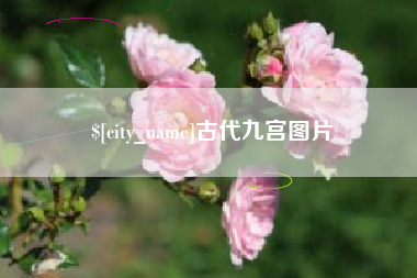 乌海古代九宫图片