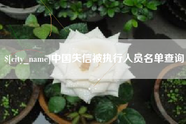 乌海中国失信被执行人员名单查询
