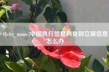 乌海中国执行信息网查到立案信息怎么办