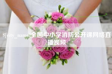 乌海全国中小学消防公开课网络直播视频