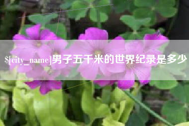 乌海男子五千米的世界纪录是多少