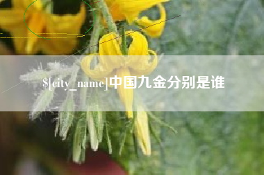 乌海中国九金分别是谁