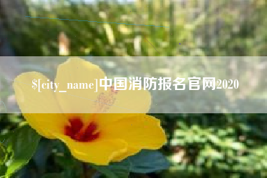 乌海中国消防报名官网2020