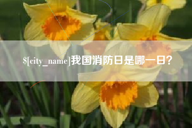 乌海我国消防日是哪一日？