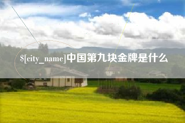 乌海中国第九块金牌是什么