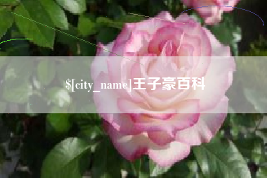 乌海王子豪百科