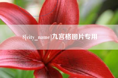 乌海九宫格图片专用