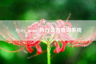 乌海执行公告查询系统