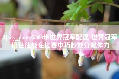 乌海5000米世界冠军配速-世界冠军们往往能在比赛中巧妙地分配体力