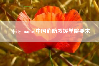 乌海中国消防救援学院要求