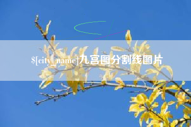 乌海九宫图分割线图片