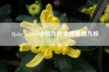 乌海中国九枚金牌是哪九枚