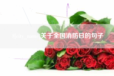 乌海关于全国消防日的句子