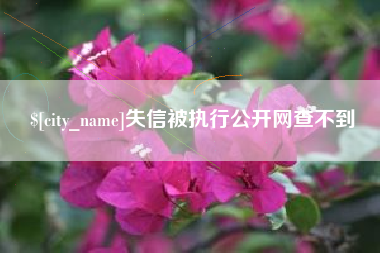 乌海失信被执行公开网查不到