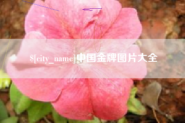 乌海中国金牌图片大全