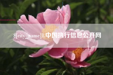 乌海1.中国执行信息公开网