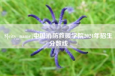 乌海中国消防救援学院2024年招生分数线